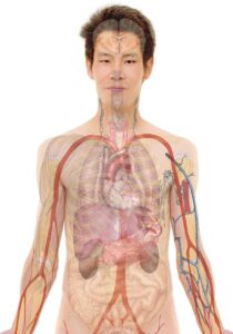 訪問看護の求人におすすめのスポットアプリは？